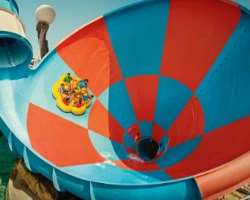 The park owns about 43 amusement rides five of which not found anywhere in the world.